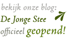 Bekijk de foto's op onze blog!